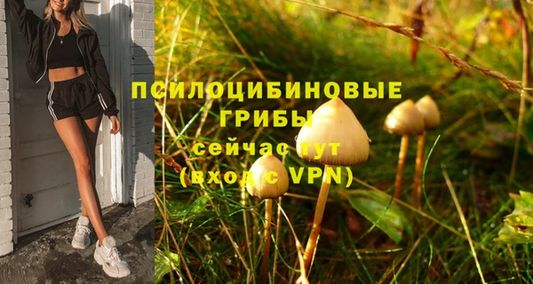 индика Верхний Тагил