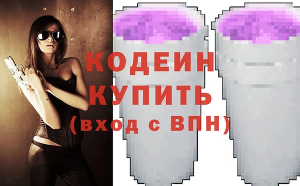 индика Верхний Тагил