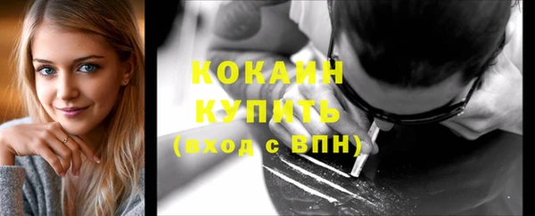 индика Верхний Тагил