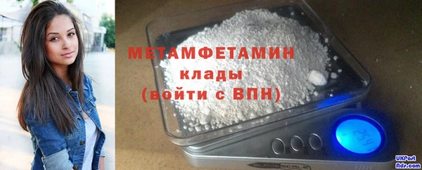 индика Верхний Тагил