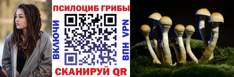 Псилоцибиновые грибы мухоморы  Плавск 